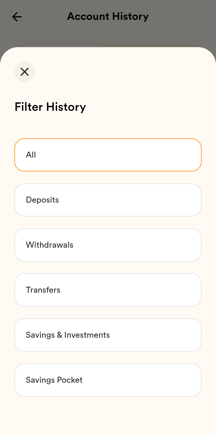  Accrue Transaction History  ui screens