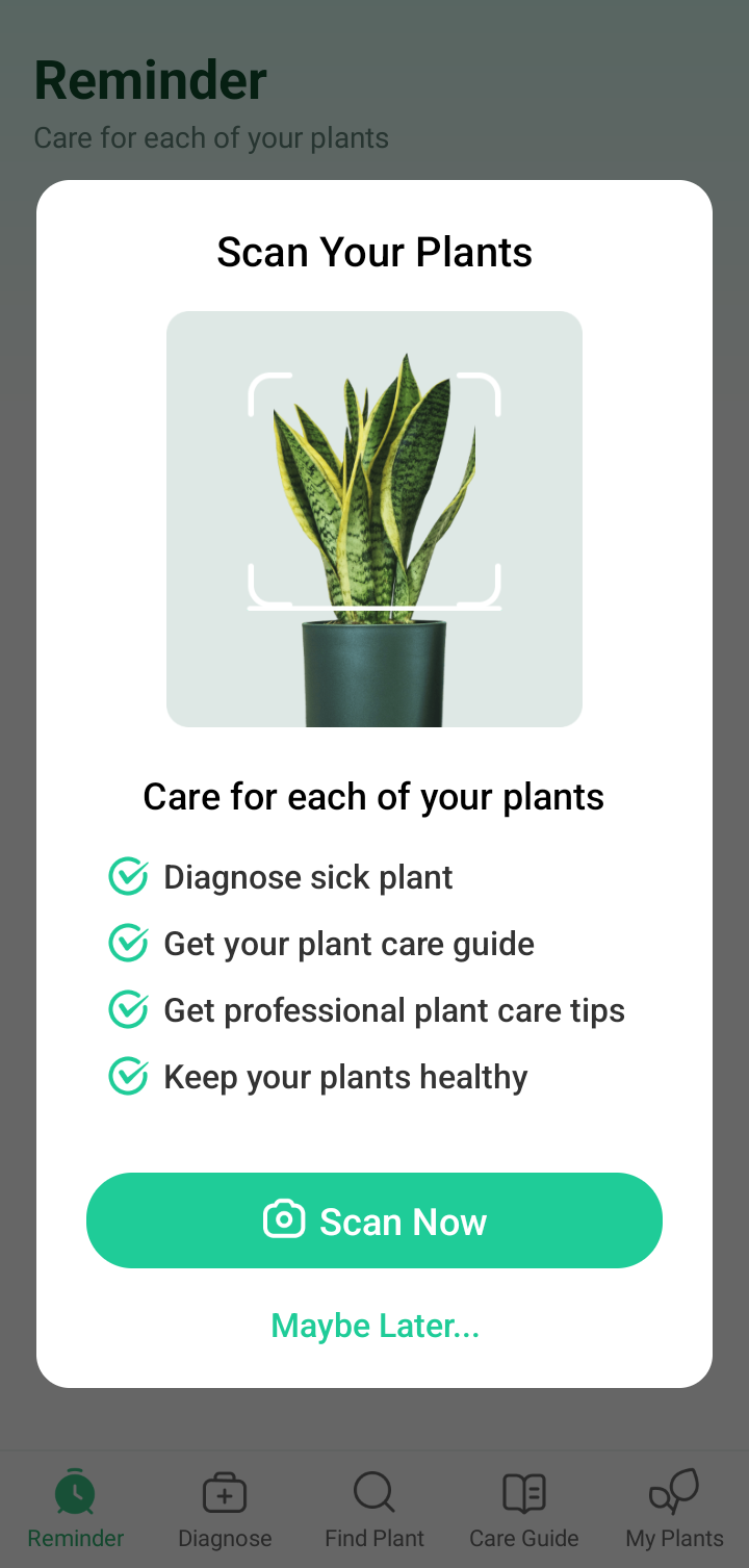 Plantparent App Screenshots, UI Screens & Design Inspiration | Uiland