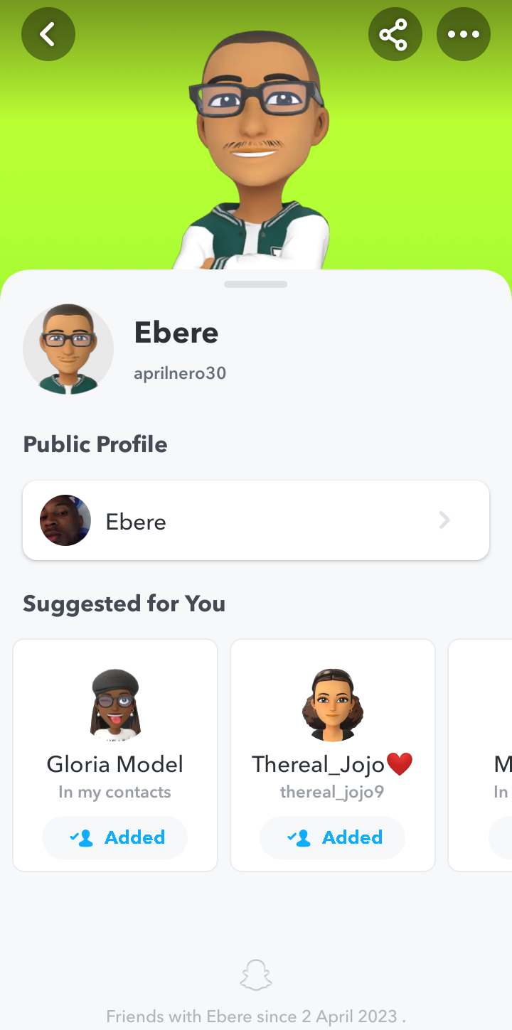  Snapchat User Profile user flow UI screenshot